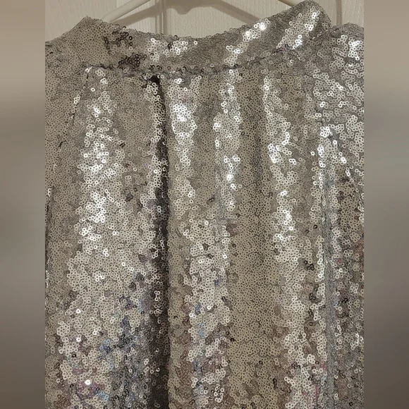 Silver Sequin Dress - Picture 4 of 5